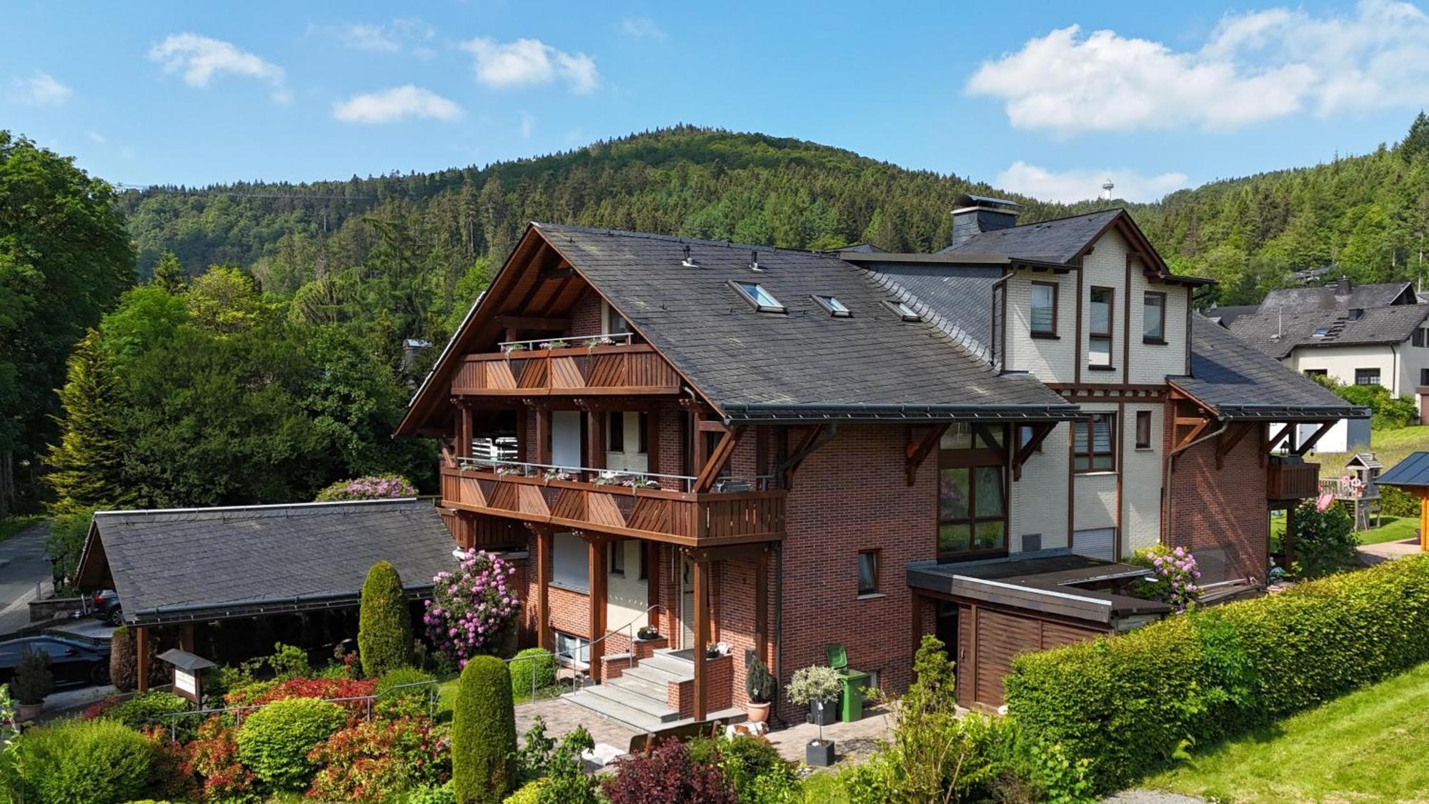 Haus Daut Fewo Mit Hallenbad Willingen  Dış mekan fotoğraf